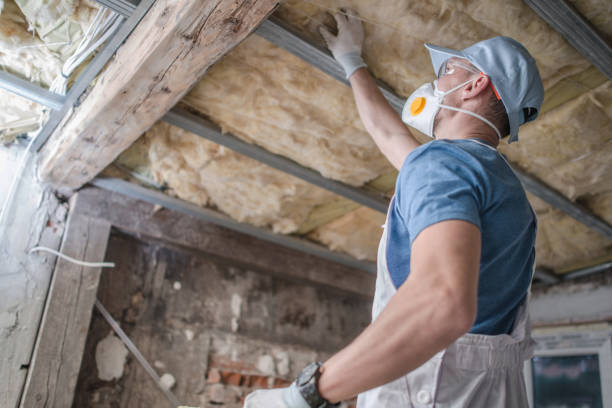 Insulation Replacement Services in Bridgeport, WA