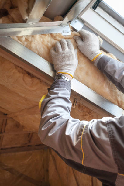 Best Insulation Removal  in Bridgeport, WA
