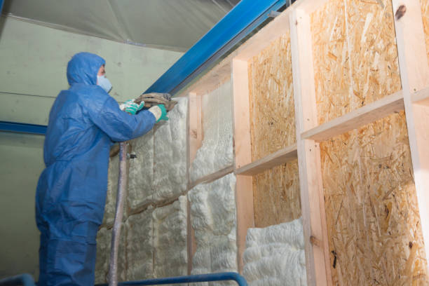 Best Cellulose Insulation  in Bridgeport, WA